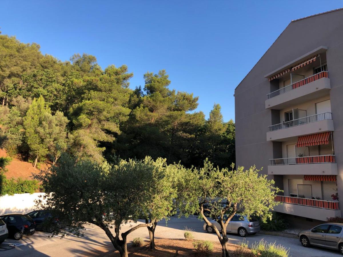 Grand Studio A Hyeres Entre Mer Et Ville Exterior foto
