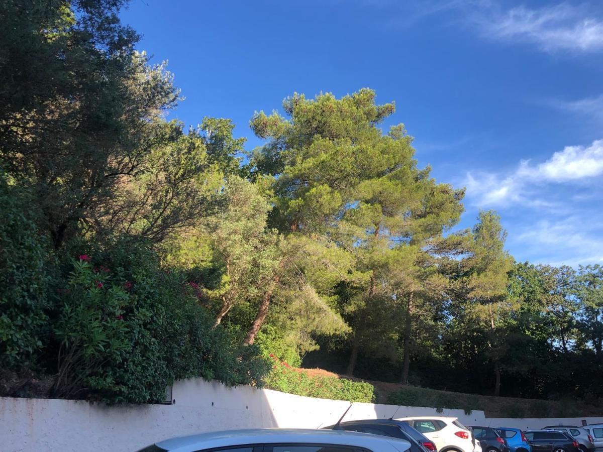 Grand Studio A Hyeres Entre Mer Et Ville Exterior foto
